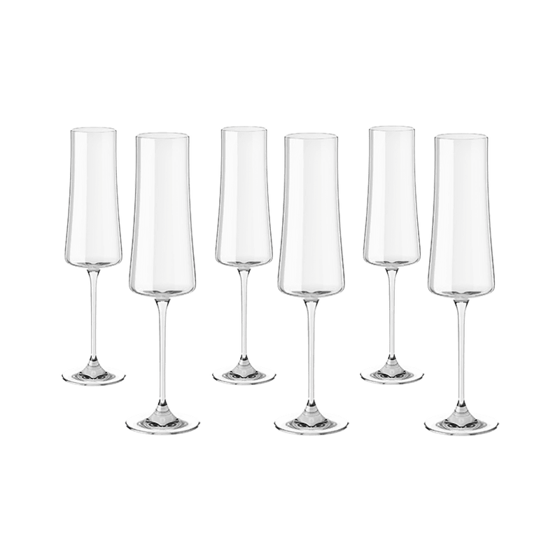 conjunto_de_tacas_para_espumante_pleasure_haus_concept_210_ml_cristal_6_pecas_8647_1_0a58dcca662bd149da8409fc5f56edae conjunto_de_tacas_para_espumante_pleasure_haus_concept_210_ml_cristal_6_pecas_8647_1_0a58dcca662bd149da8409fc5f56edae